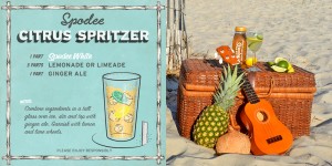 Spodee White Wine Spritzer